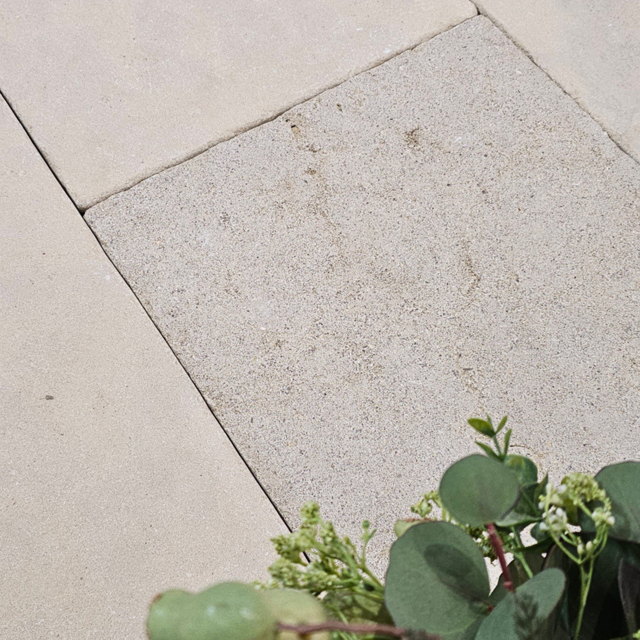 Hermoso Limestone