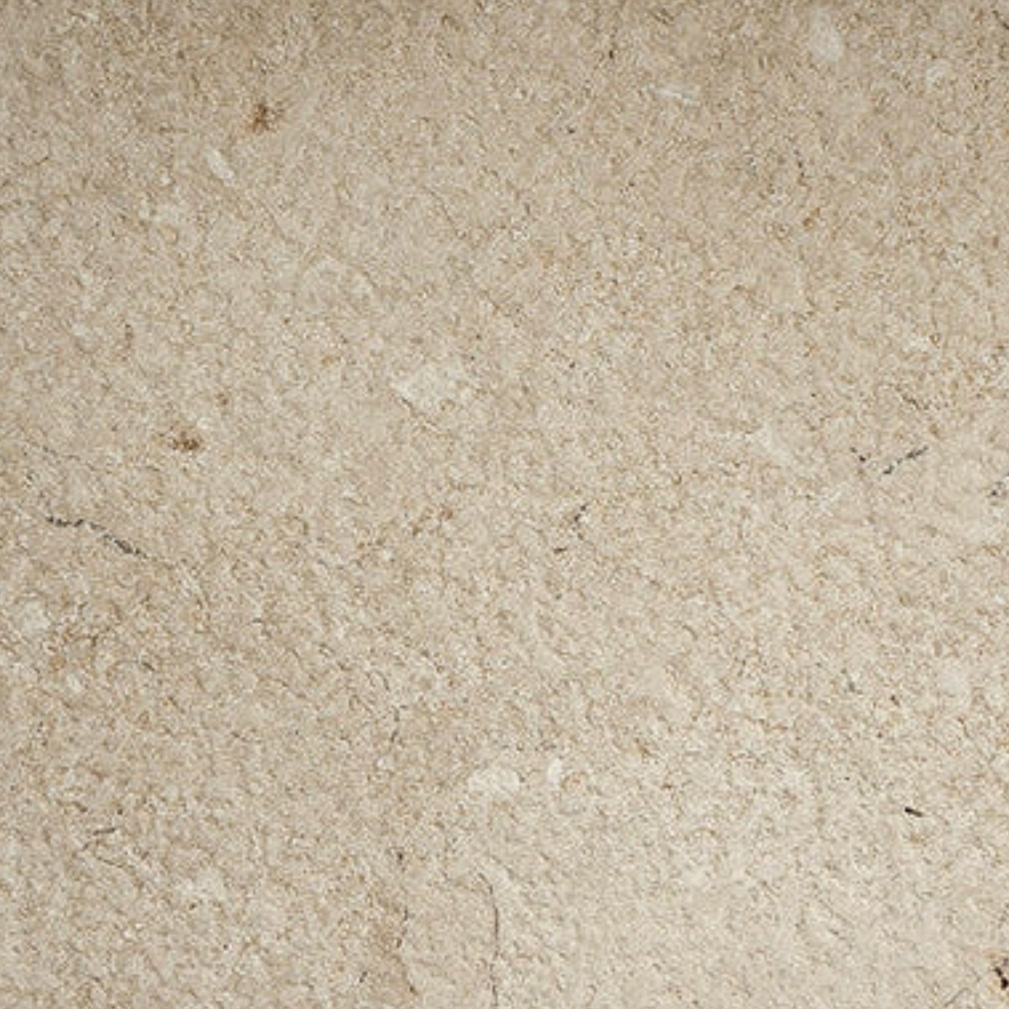 Norton Limestone