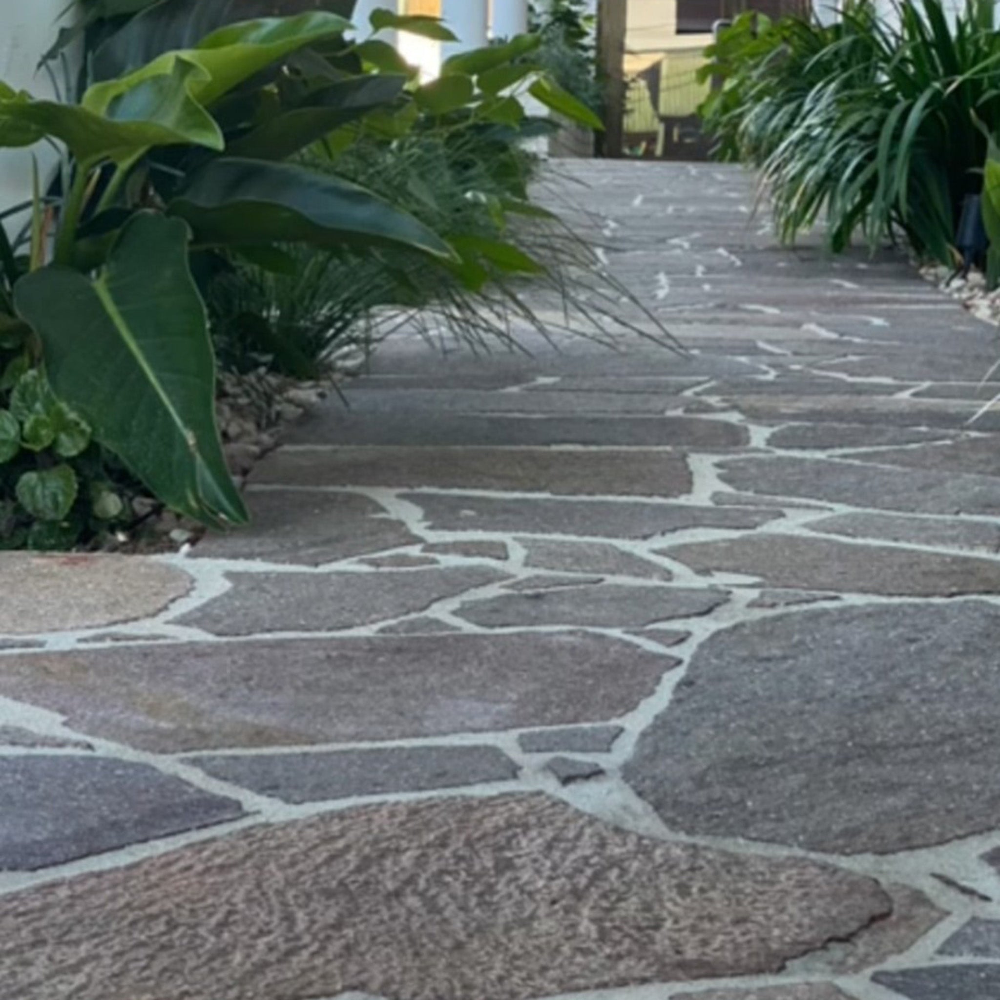 Porphyry Giante Crazypave