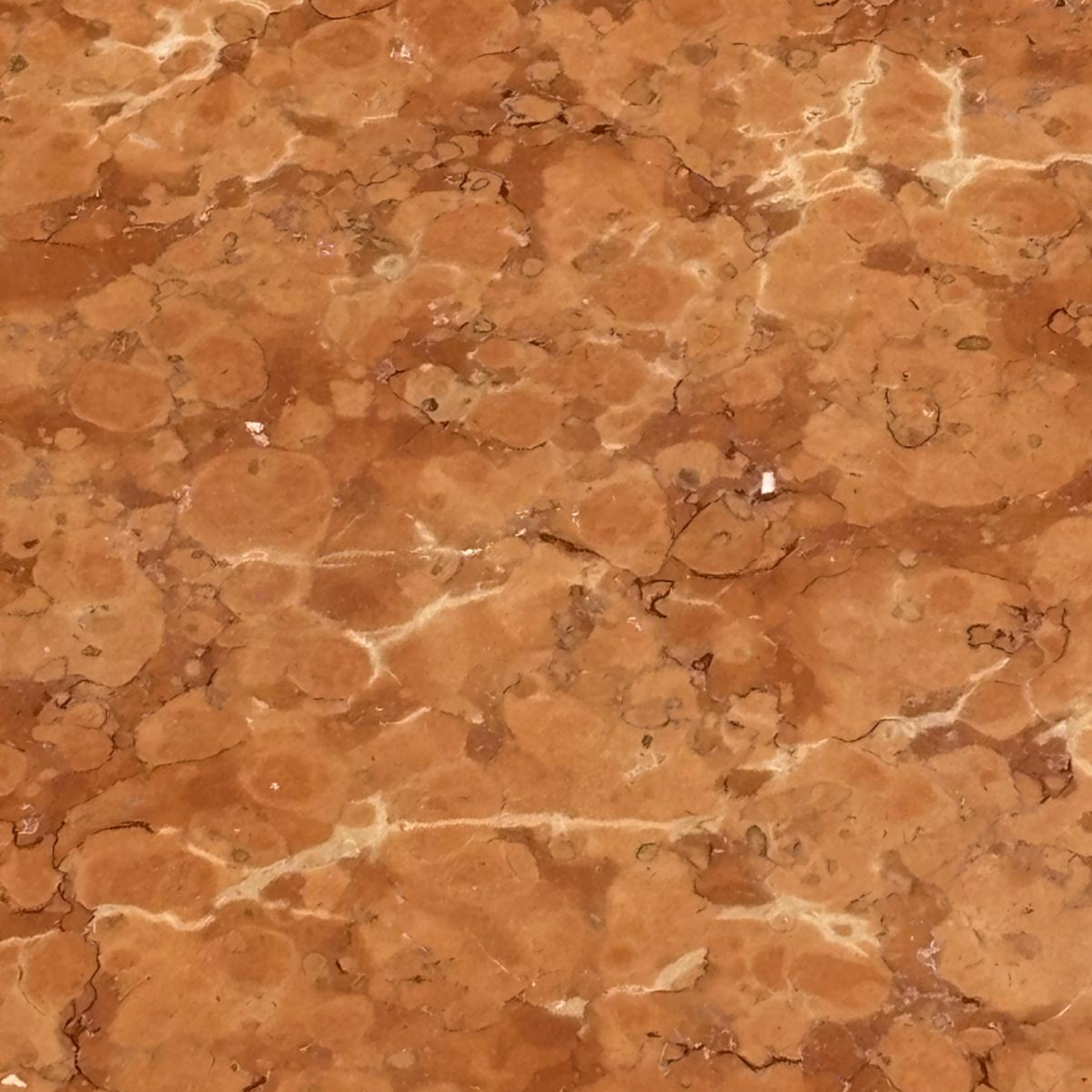 Rosso Verona Italian Marble Crazy Pave