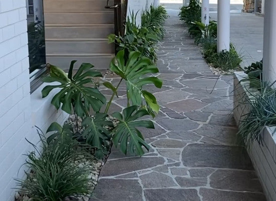 Porphyry Giante Crazypave - The Stone Men