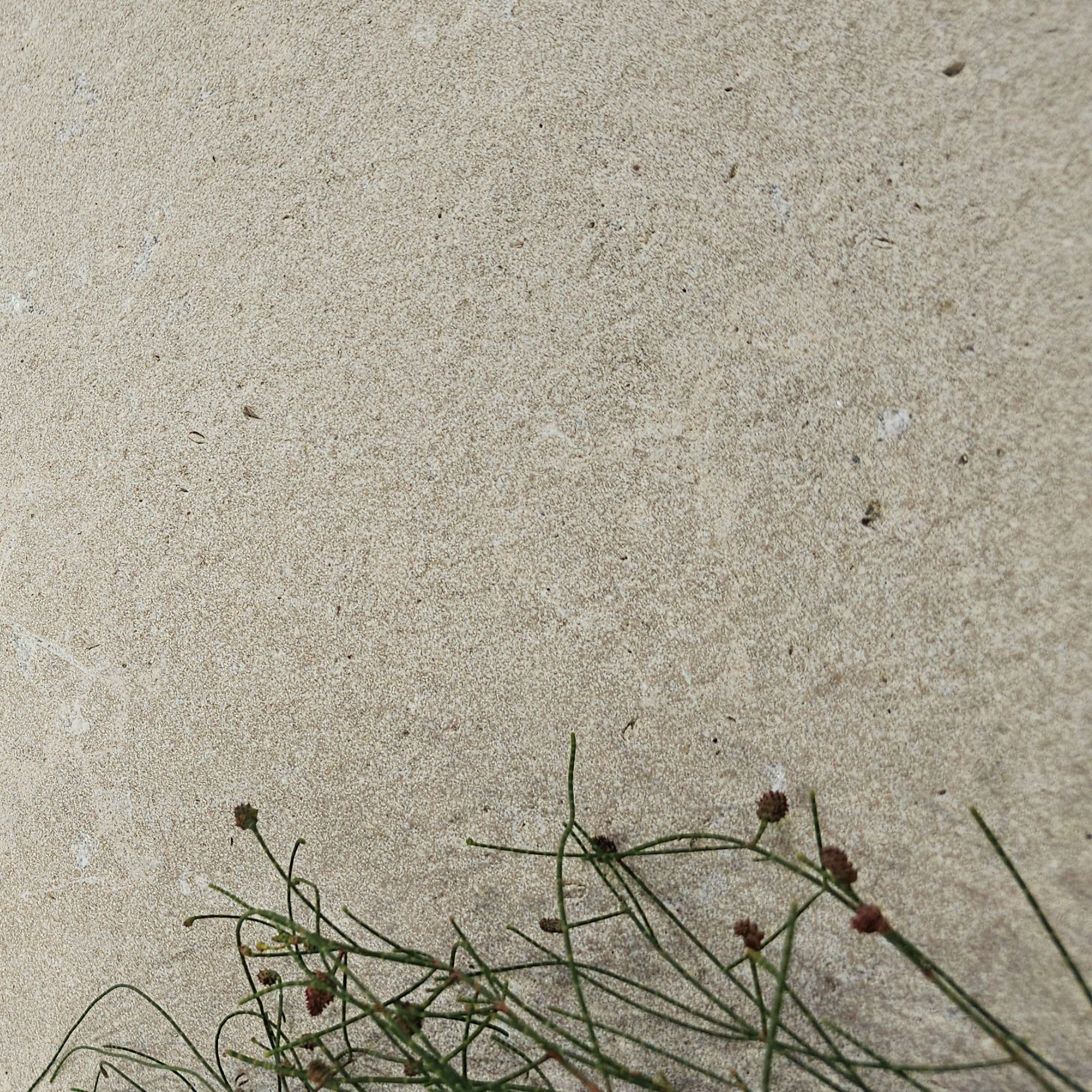 Burbury Light Limestone