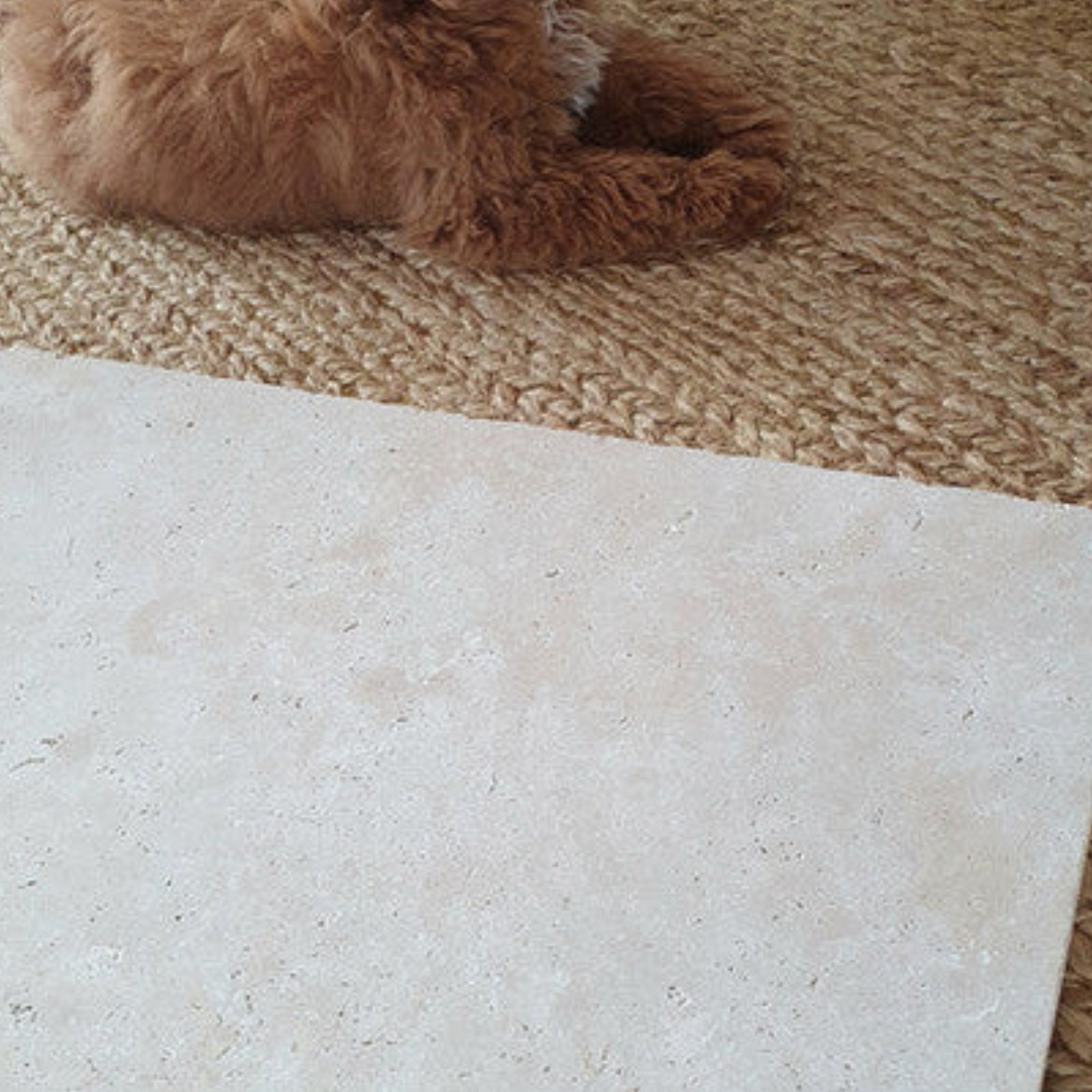 Ivory Premium Travertine