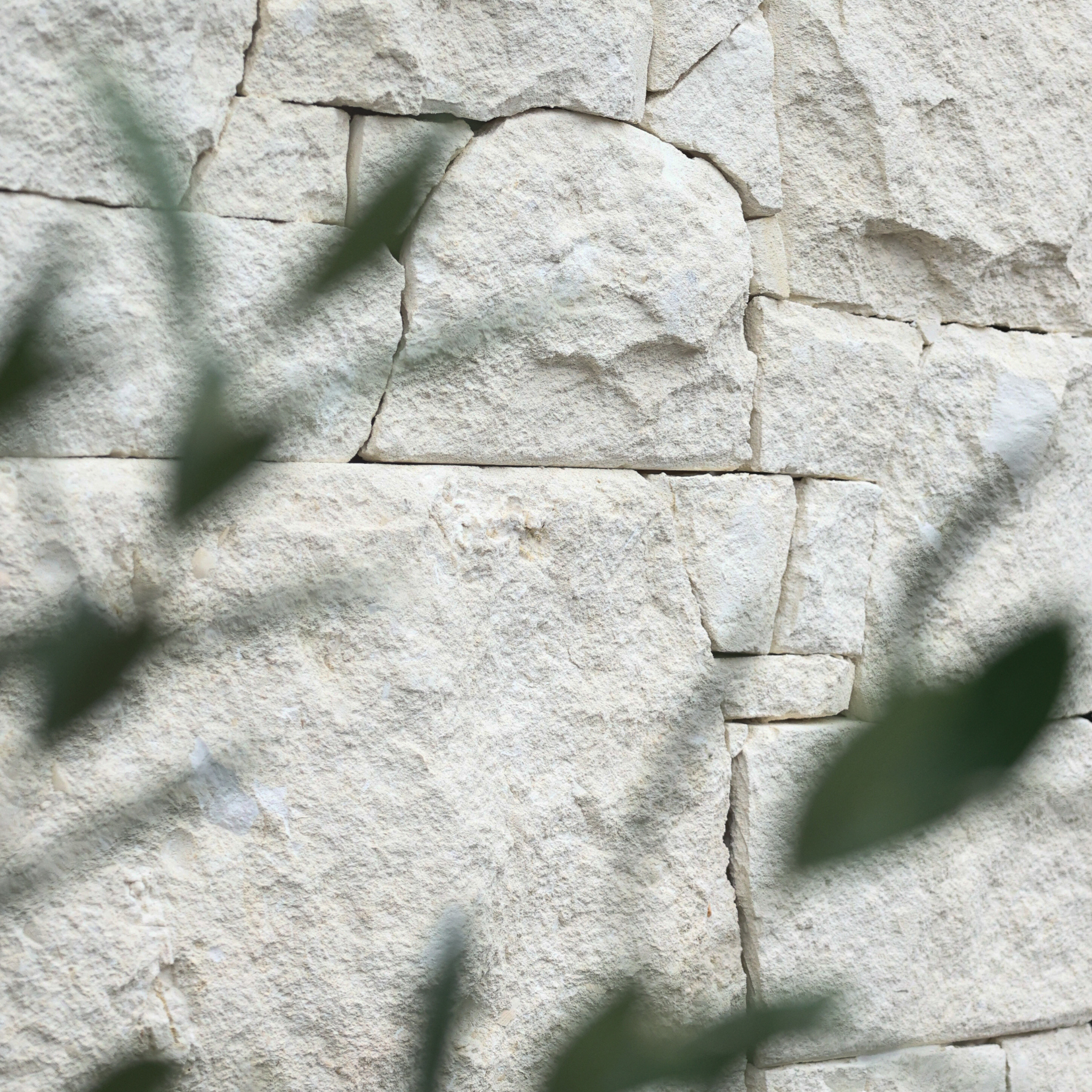 Shell Tuscan Stone Cladding