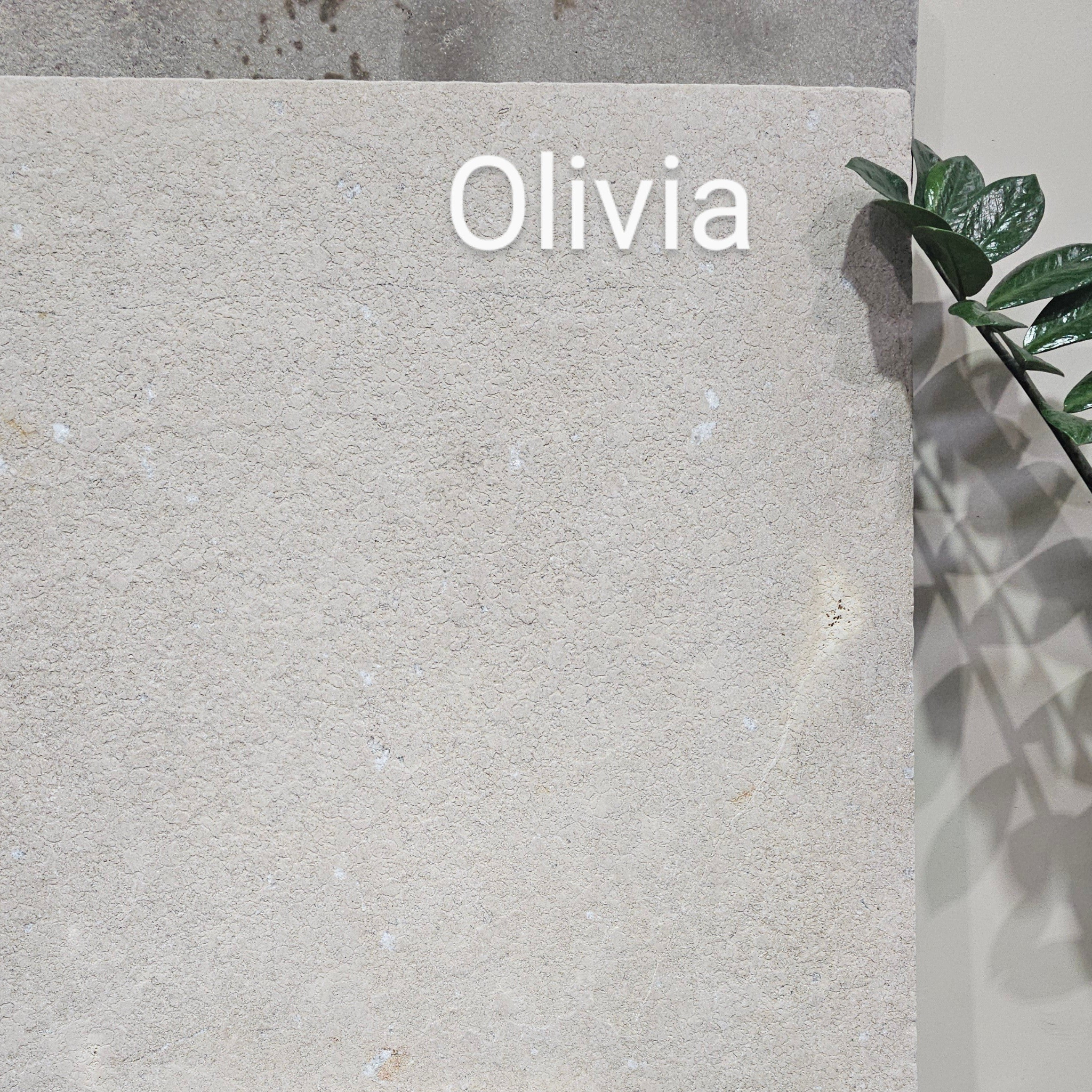 Olivia Limestone