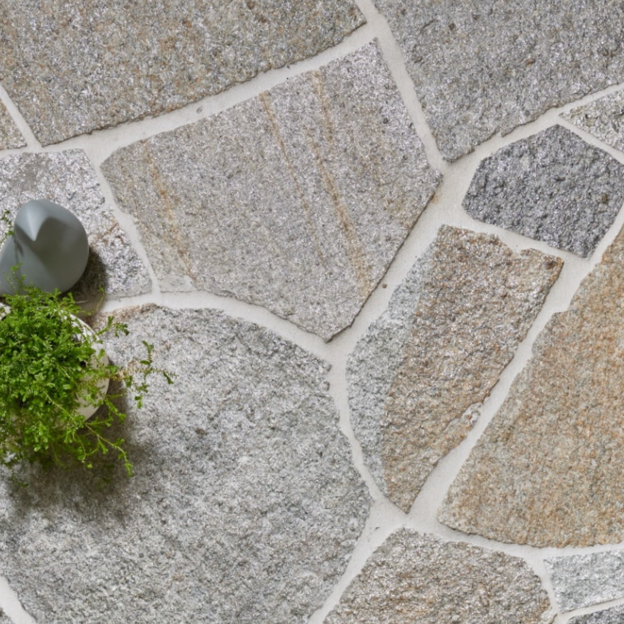 Verdi Lucca Crazy Pave