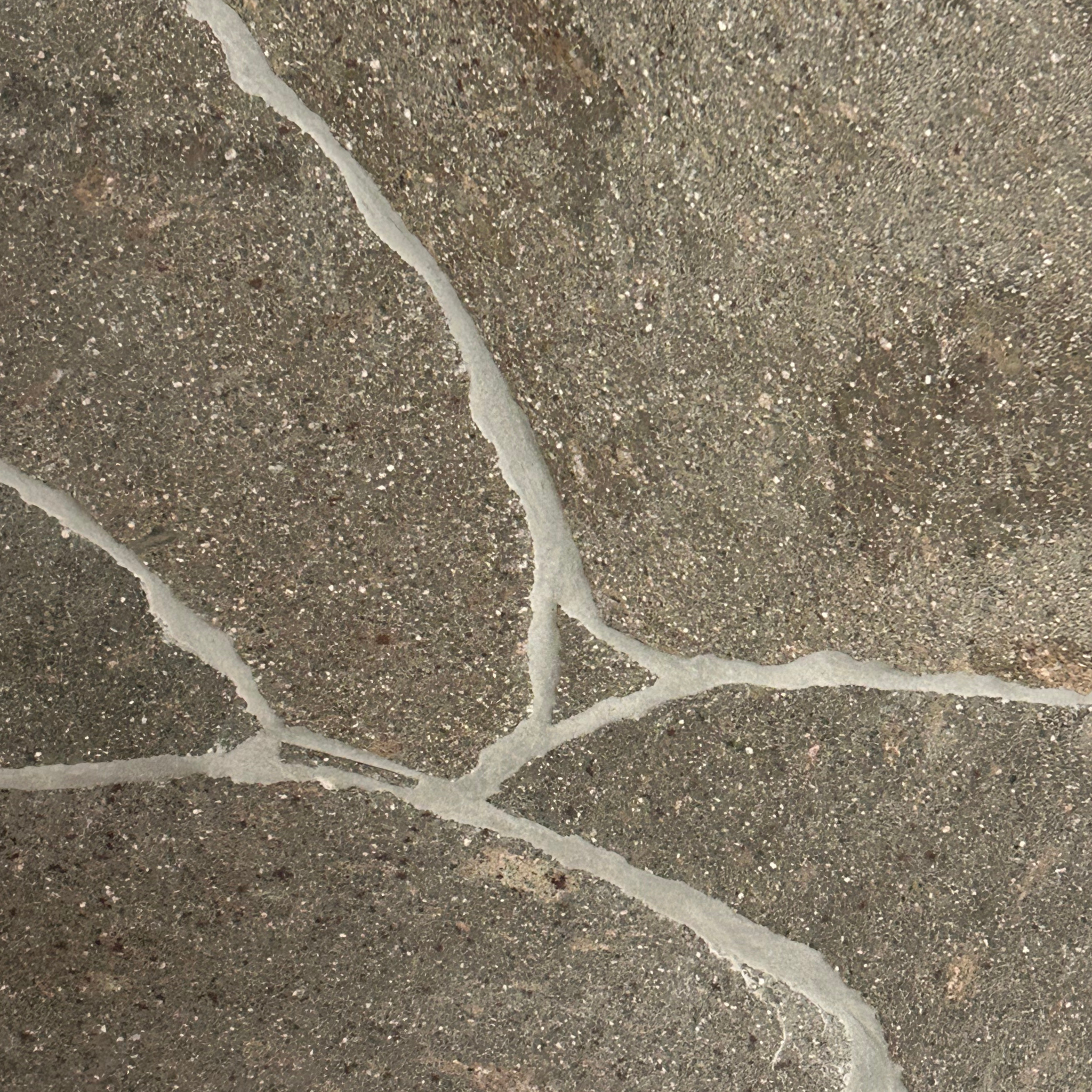 Porphyry Giante Crazypave