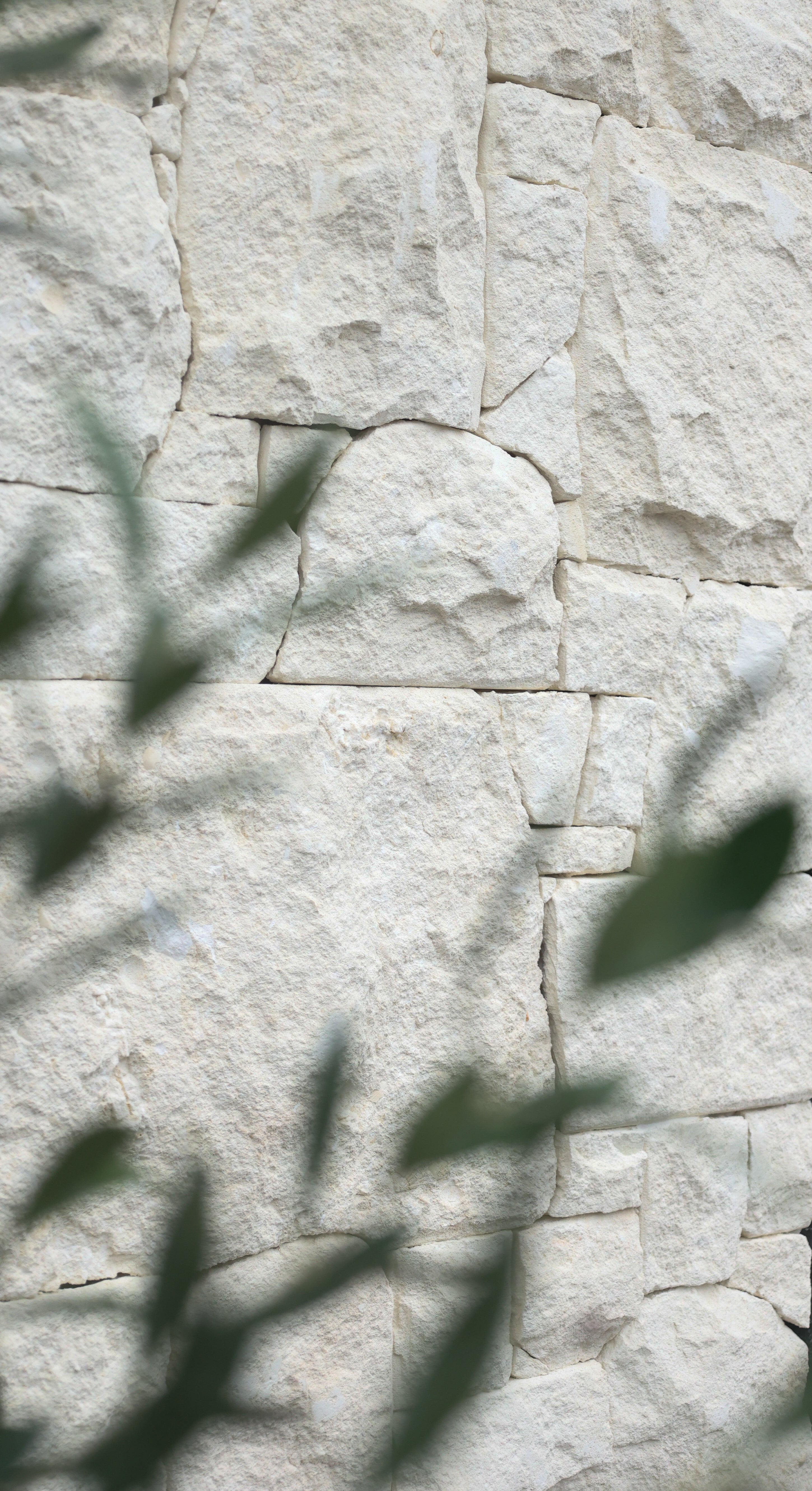 Shell Tuscan Stone Cladding