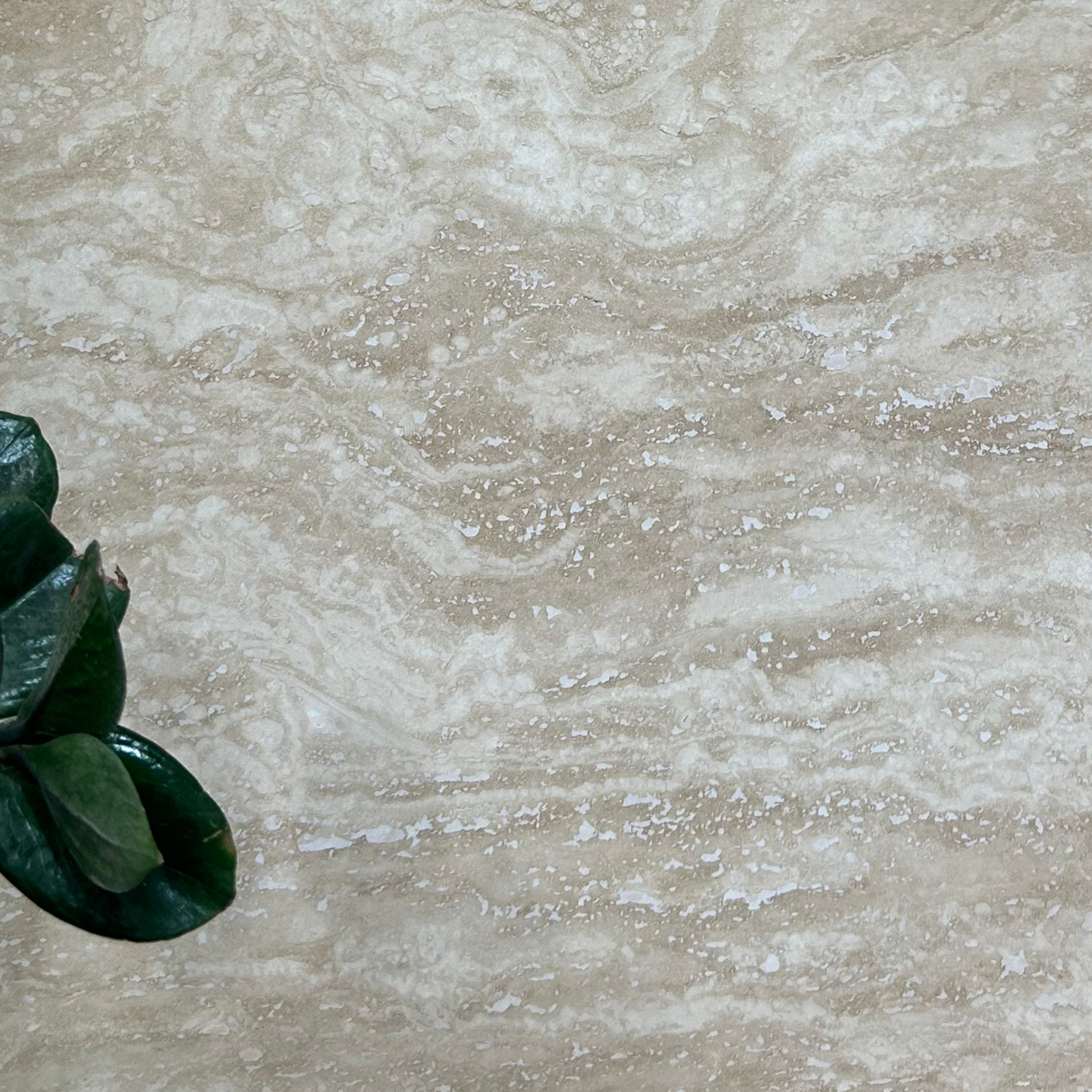 Sofia Veincut Travertine